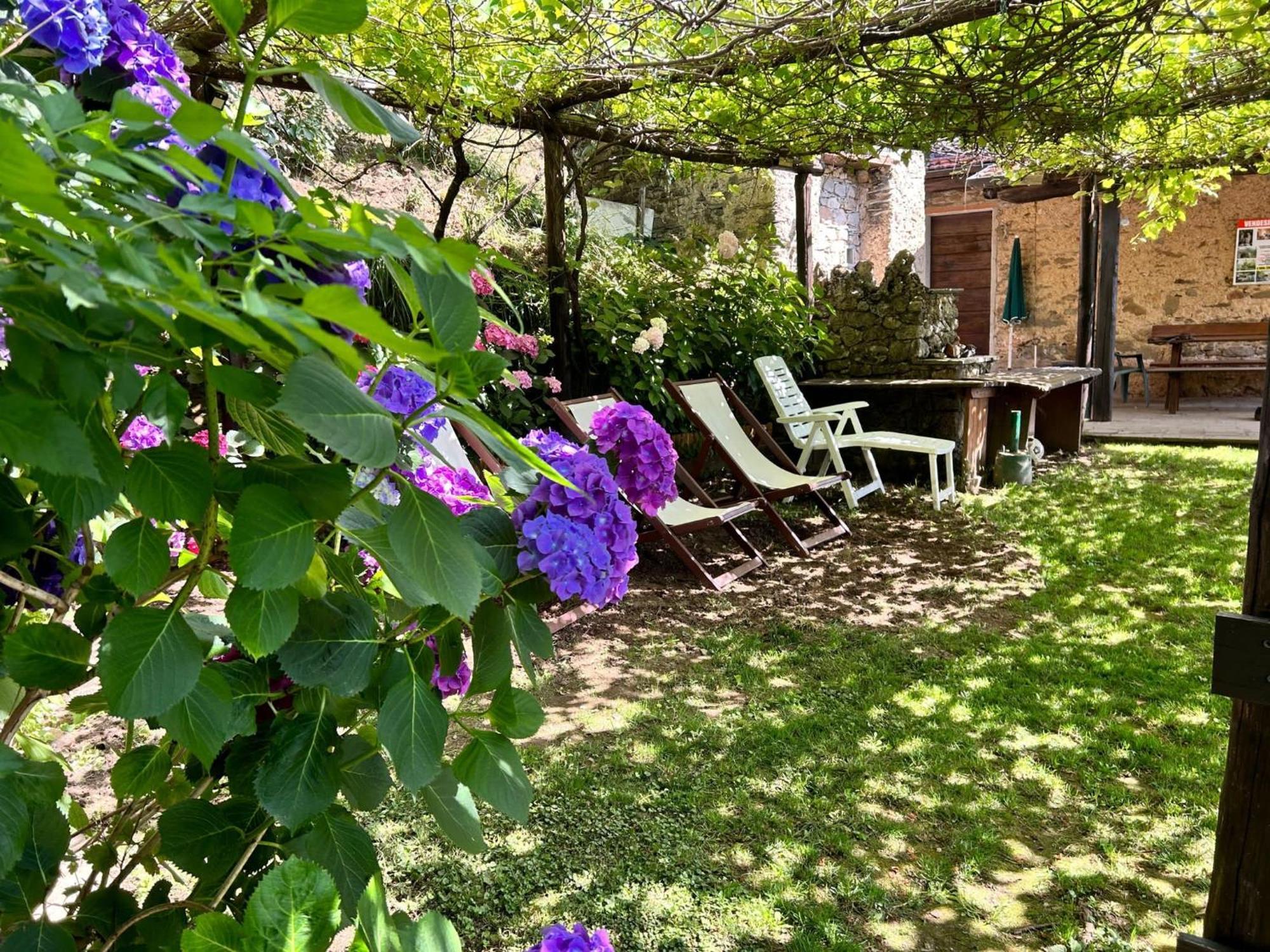 Il Frutteto Natura A Relax Stazzema Dış mekan fotoğraf