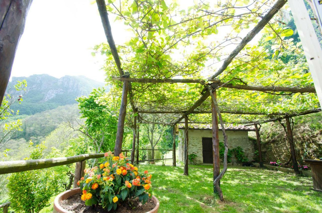 Il Frutteto Natura A Relax Stazzema Dış mekan fotoğraf