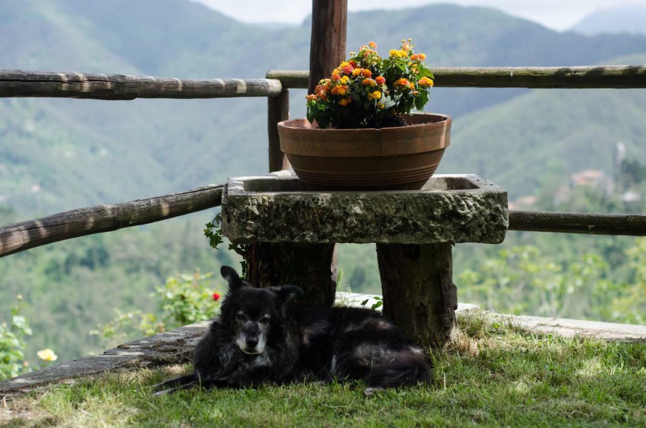 Il Frutteto Natura A Relax Stazzema Dış mekan fotoğraf