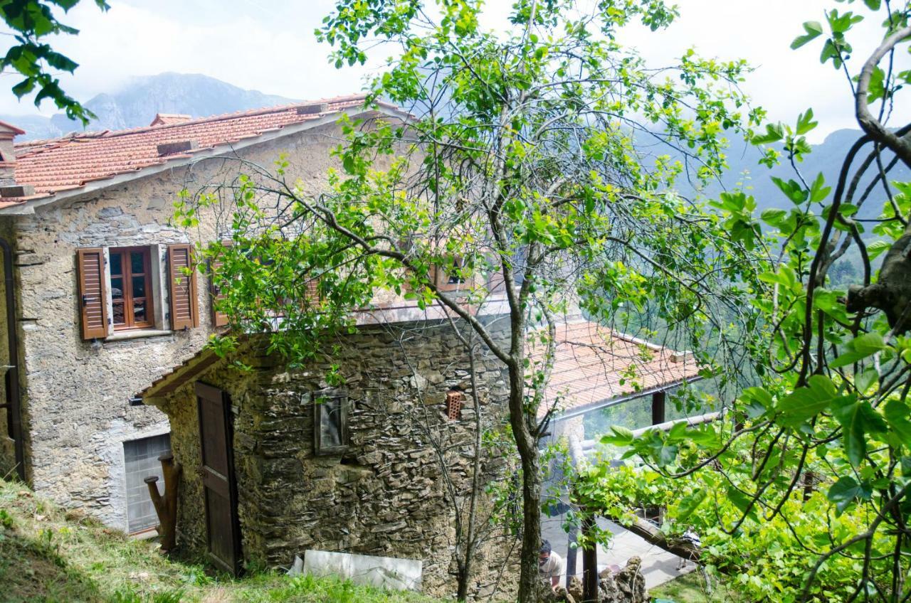 Il Frutteto Natura A Relax Stazzema Dış mekan fotoğraf