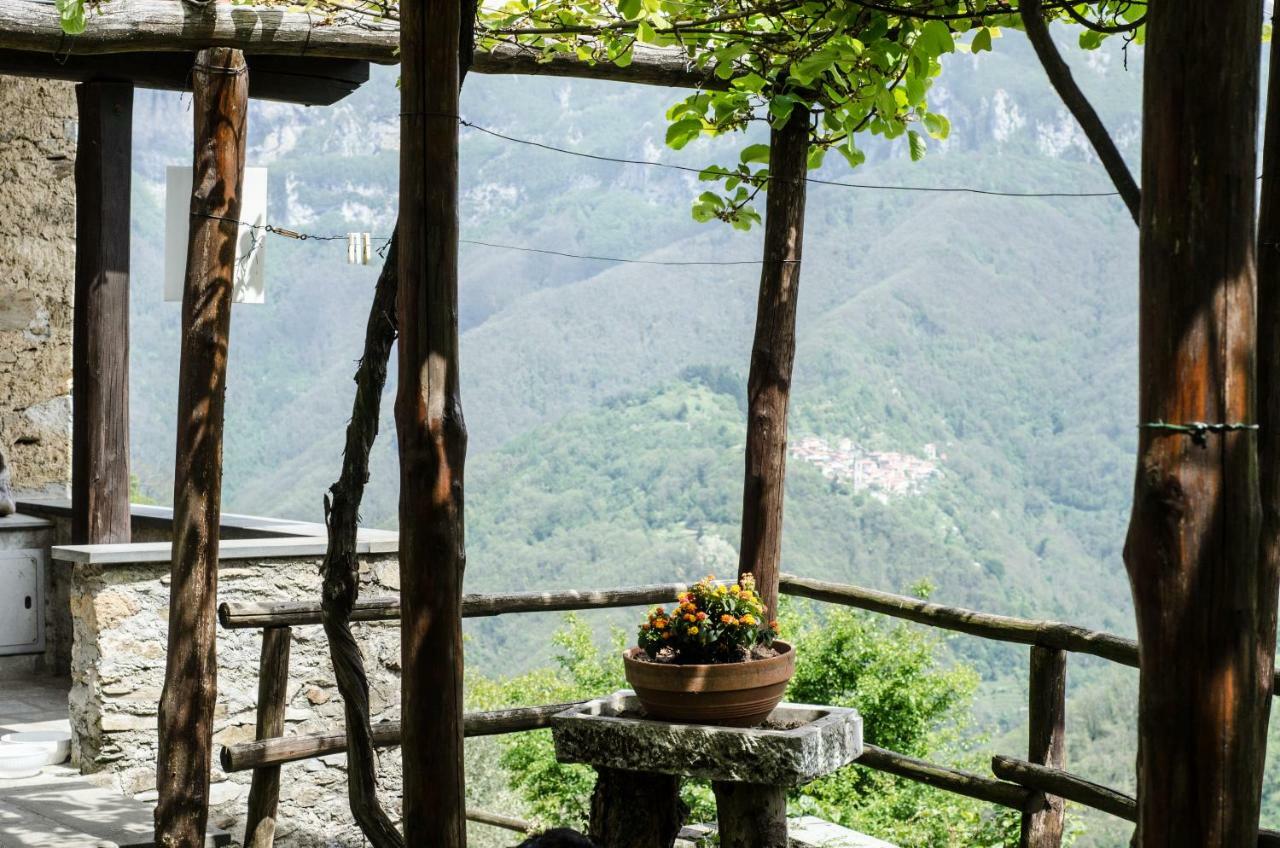 Il Frutteto Natura A Relax Stazzema Dış mekan fotoğraf