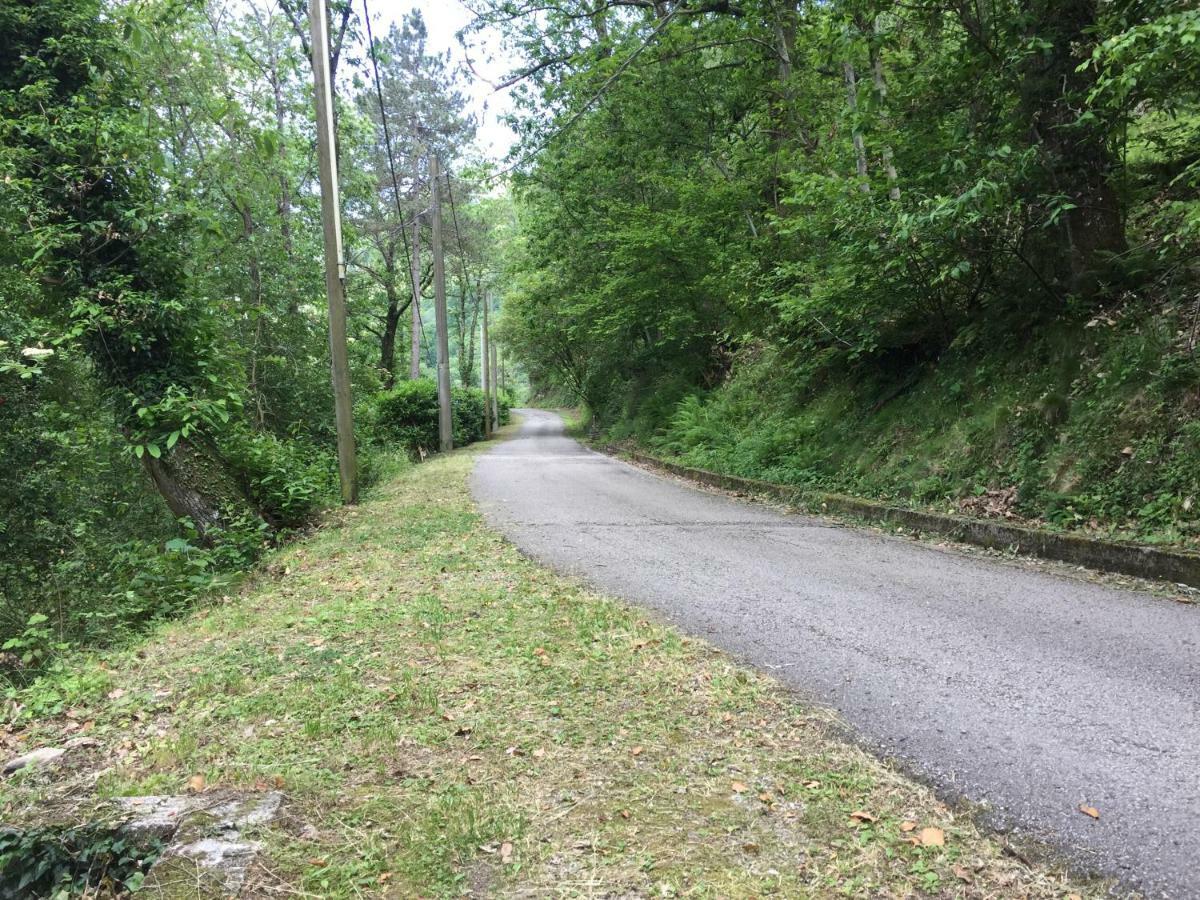 Il Frutteto Natura A Relax Stazzema Dış mekan fotoğraf